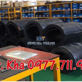 BÀN GIAO CAO SU TẤM KCN GIANG ĐIỀN ĐỒNG NAI