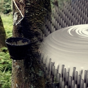 CAO SU THIÊN NHIÊN