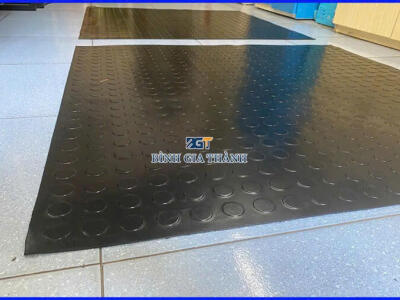 CAO SU VÂN ĐỒNG TIỀN