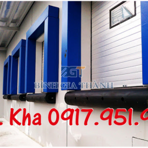 CAO SU GIẢM CHẤN CHỮ D