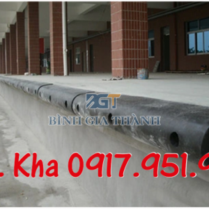 CAO SU GIẢM CHẤN CHỮ D