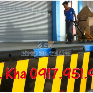 CAO SU GIẢM CHẤN CHỮ D